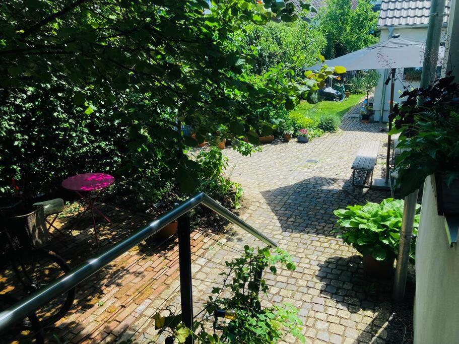 Gute Lage, 3 Raeder, Gruen, Familien Apartment Trier Exterior photo