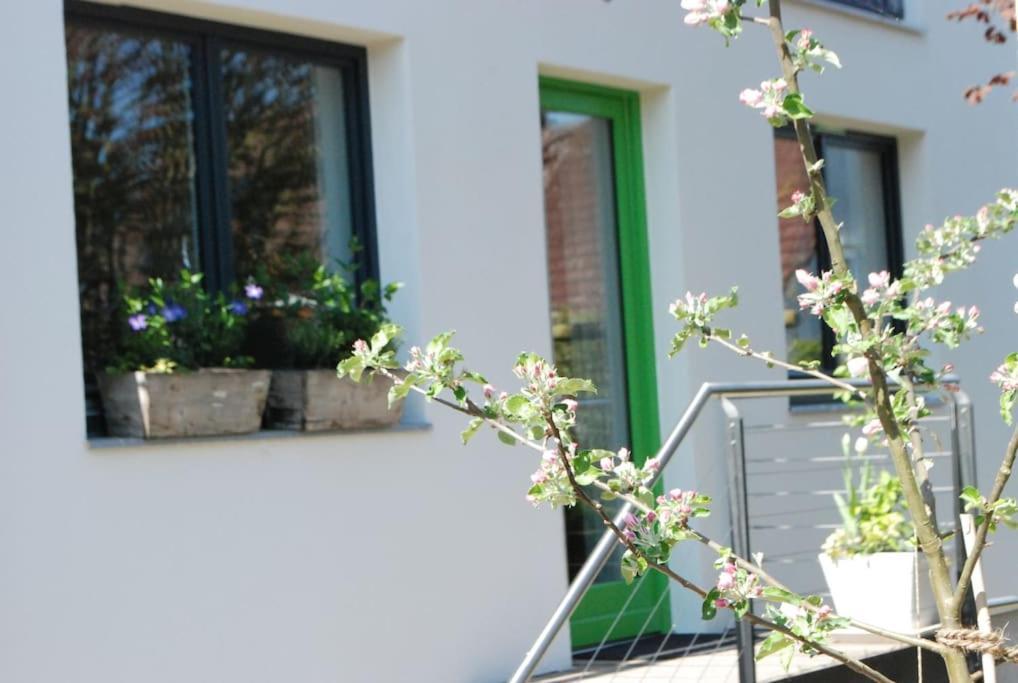 Gute Lage, 3 Raeder, Gruen, Familien Apartment Trier Exterior photo